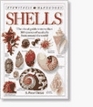 DK Handbooks Shells