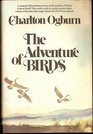 The Adventure of Birds A Uniquely Illuminating Answer to the Question 'What Is It about Birds'