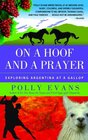 On a Hoof and a Prayer Exploring Argentina at a Gallop