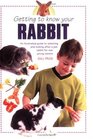 Getting to Know Your Rabbit