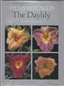 Hemerocallis, the Daylily