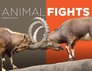 Animal Fights
