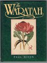 The Waratah