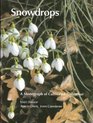 Snowdrops A Monograph of Cultivated Galanthus