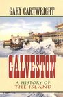 Galveston A History of the Island