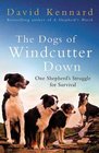 The Dogs of Windcutter Down One Shepherd's Struggle for Survival
