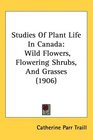 Studies Of Plant Life In Canada Wild Flowers Flowering Shrubs And Grasses