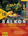 Balkon und Kbelpflanzen fr Einsteiger