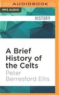 Brief History of the Celts A