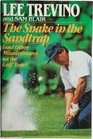 Snakes in the Sand Trap