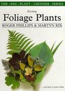 Exciting Foliage Plants