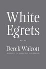 White Egrets Poems