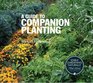 A Guide to Companion Planting