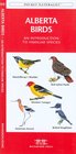 Alberta Birds An Introduction to Familiar Species