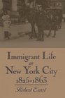 Immigrant Life in New York City 18251863