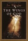 The Wings of God Miraculous Stories of Our Lord and His Angels at Work