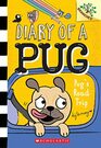 Pug's Road Trip A Branches Book