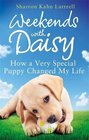 Weekends with Daisy How a Very Special Puppy Changed My Life