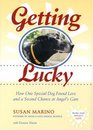 Getting Lucky  How One Special Dog Found Love and a Second Chance at Angel's Gate