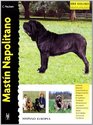 Mastin Napolitano / Neapolitan Mastiff