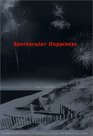 Spectacular Happiness  A Novel