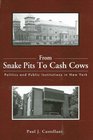 From Snake Pits To Cash Cows Politics And Public Institutions In New York