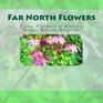 Far North Flowers Floral Portraits Alaska's Garden Bed  Breakfast