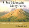 One Mountain Many Paths