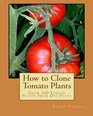 How to Clone Tomato Plants Grow 100 Tomato Plants From One Plant