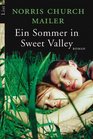 Ein Sommer in Sweet Valley