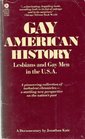 Gay American History