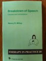 Breakdown of Speech Causes and Remediation
