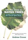 The LifeSize Guide to Native Trees