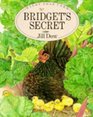 Bridget's Secret
