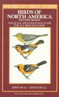 Birds of North America Western Region A Quick Identification Guide for All BirdWatchers