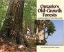 Ontario's Old Growth Forests