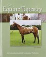 The Equine Tapestry: An Introduction to Colors and Patterns