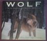 Wolf Wild Hunter of North America