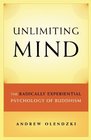 Unlimiting Mind The Radically Experiential Psychology of Buddhism