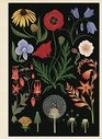 Botanicum Poster Book