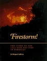 Firestorm The Story of the Nineteen NinetyOne East Fire in Berkeley