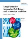 Encyclopedia of Molecular Cell Biology and Molecular Medicine Sex Hormones  Analogs and Antagonists to Synchrotron Infrared Microspectroscopy