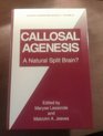Callosal Agenesis A Natural Split Brain