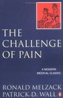 The Challenge of Pain