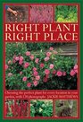 Right Plant Right Place Choosing the Perfect Plant for Every Location in Your Garden With 120 Photographs