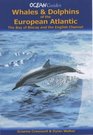 Whales and Dolphins of the European Atlantic The Bay of Biscay and the English Channel