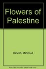 Flowers of Palestine