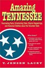 Amazing Tennessee  Fascinating Facts Entertaining Tales Bizarre Happenings and Historical Oddities about the Volunteer State