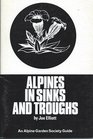 Alpines in Sinks and Troughs