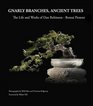 Gnarly Branches, Ancient Trees: The Life and Works of Dan Robinson - Bonsai Pioneer